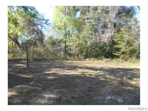 6910 N Castlebury Rd, Hernando, FL 34442 photo 7