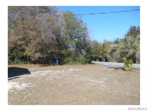6910 N Castlebury Rd, Hernando, FL 34442 photo 2