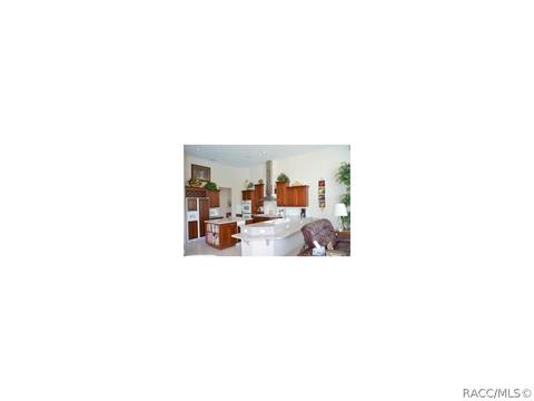 1326 N Hambletonian Dr, Hernando, FL 34442 photo 17
