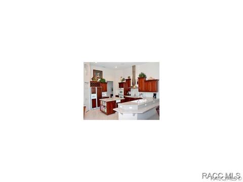 1326 N Hambletonian Dr, Hernando, FL 34442 photo 26