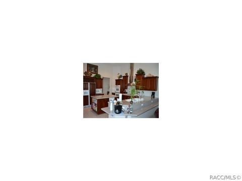 1326 N Hambletonian Dr, Hernando, FL 34442 photo 11