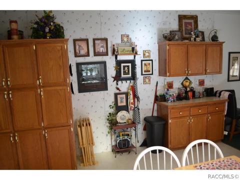 385 E Katie St, Hernando, FL 34442 photo 19