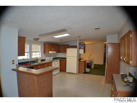 385 E Katie St, Hernando, FL 34442 photo 31