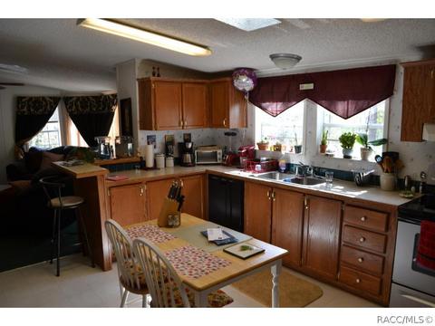 385 E Katie St, Hernando, FL 34442 photo 20