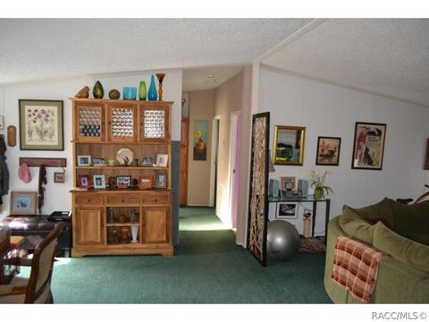 385 E Katie St, Hernando, FL 34442 photo 13