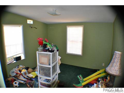 385 E Katie St, Hernando, FL 34442 photo 27