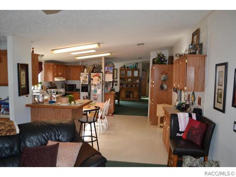 385 E Katie St, Hernando, FL 34442 photo 21