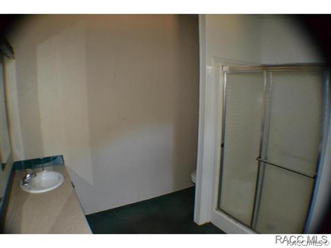 385 E Katie St, Hernando, FL 34442 photo 35