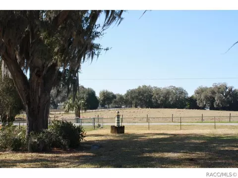 1999 N Cloverdale Ter, Hernando, FL 34442 photo 28