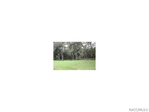 1350 N Circus Ter, Hernando, FL 34442 photo 17