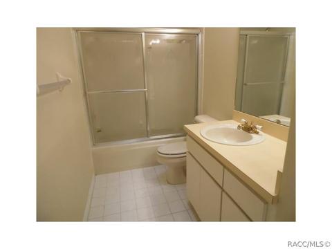 1542 E Bismark St, Hernando, FL 34442 photo 17
