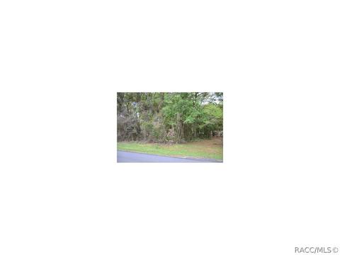 5434 E Arbor St, Inverness, FL 34452 photo 2