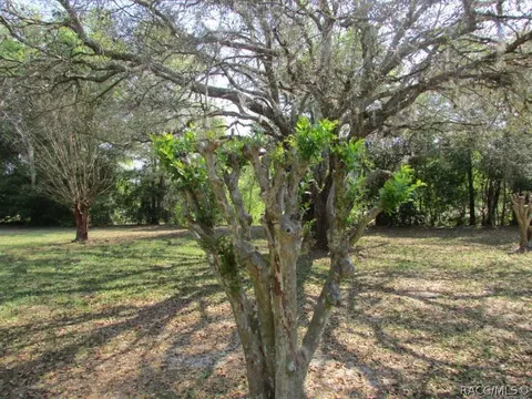 4314 N Longvalley Rd, Hernando, FL 34442 photo 32