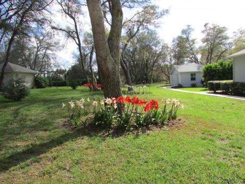 4314 N Indianhead Rd, Hernando, FL 34442 photo 36