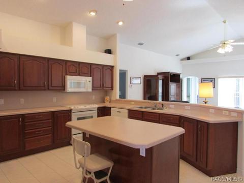 4314 N Indianhead Rd, Hernando, FL 34442 photo 7