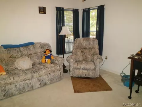 287 Eureka Ct, Hernando, FL 34442 photo 22