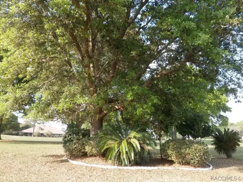 287 Eureka Ct, Hernando, FL 34442 photo 25