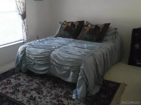 287 Eureka Ct, Hernando, FL 34442 photo 21