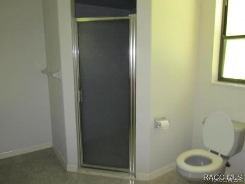 3102 E Brigadoon Ct, Hernando, FL 34442 photo 12
