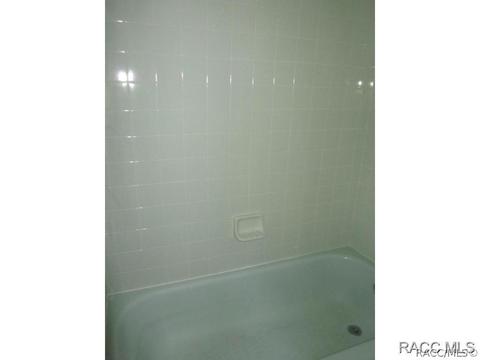 3102 E Brigadoon Ct, Hernando, FL 34442 photo 14
