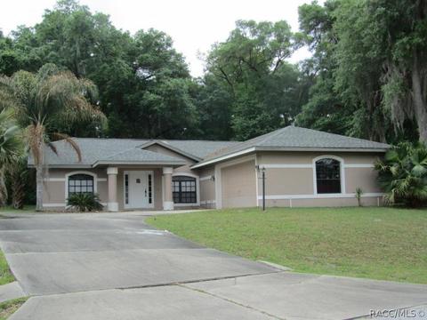 3102 E Brigadoon Ct, Hernando, FL 34442 photo 1