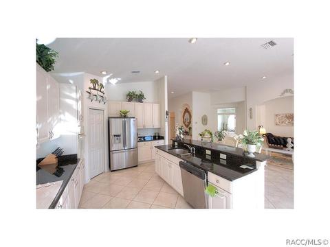 1102 W Skyview Landings Dr, Hernando, FL 34442 photo 8