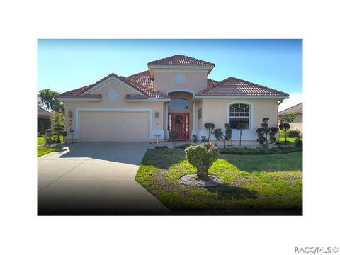 1102 W Skyview Landings Dr, Hernando, FL 34442 photo 1