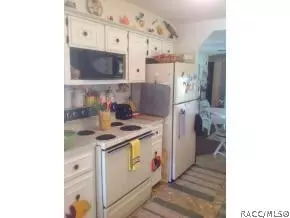 4852 E Ginko Ln, Hernando, FL 34442 photo 8