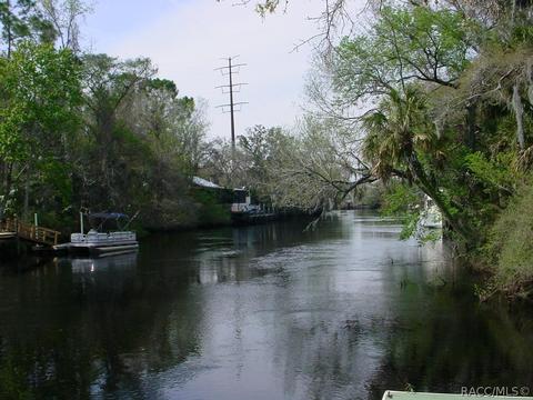 50 Lee Ter, Inglis, FL 34449 photo 10