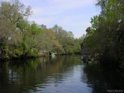 50 Lee Ter, Inglis, FL 34449 photo 8