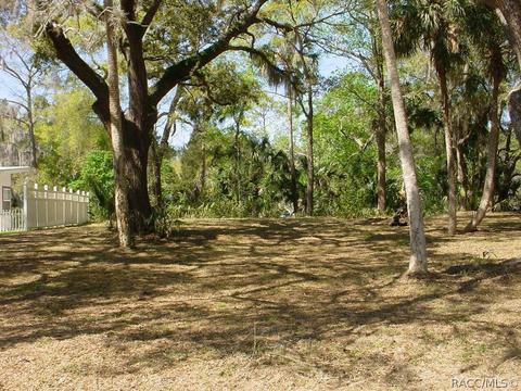 50 Lee Ter, Inglis, FL 34449 photo 12