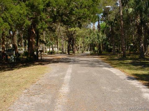 50 Lee Ter, Inglis, FL 34449 photo 5
