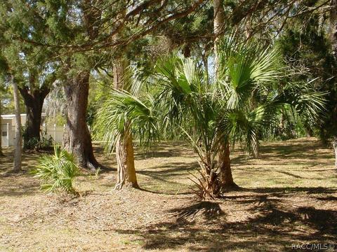50 Lee Ter, Inglis, FL 34449 photo 2