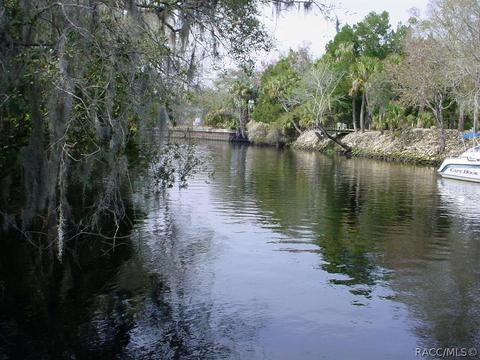 50 Lee Ter, Inglis, FL 34449 photo 9