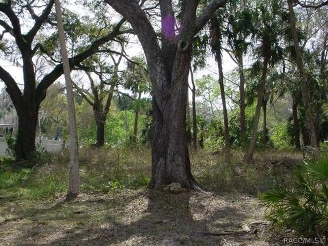 50 Lee Ter, Inglis, FL 34449 photo 11
