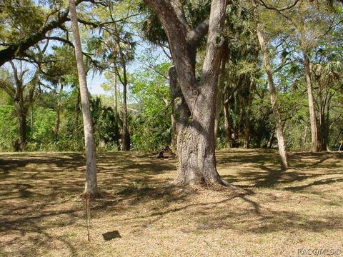 50 Lee Ter, Inglis, FL 34449 photo 4