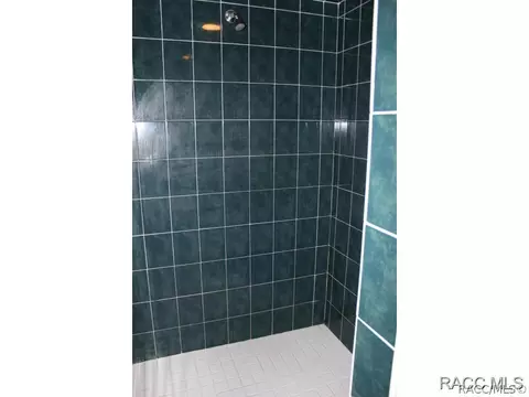 702 E Knightsbridge Pl, Lecanto, FL 34461 photo 28