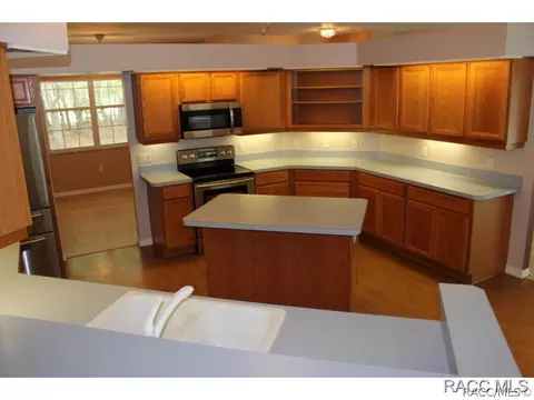 702 E Knightsbridge Pl, Lecanto, FL 34461 photo 16
