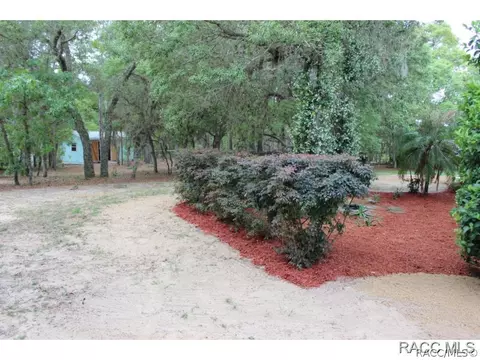 702 E Knightsbridge Pl, Lecanto, FL 34461 photo 6