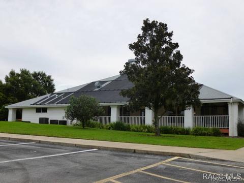 3779 E Kiwi Cove Ct, Hernando, FL 34442 photo 9