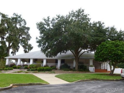 3779 E Kiwi Cove Ct, Hernando, FL 34442 photo 13