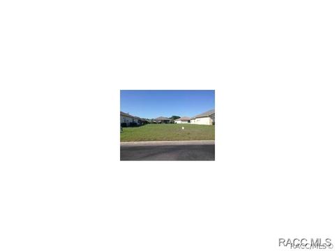3779 E Kiwi Cove Ct, Hernando, FL 34442 photo 1