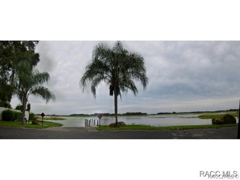 3779 E Kiwi Cove Ct, Hernando, FL 34442 photo 11