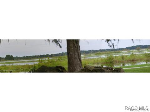 3779 E Kiwi Cove Ct, Hernando, FL 34442 photo 18