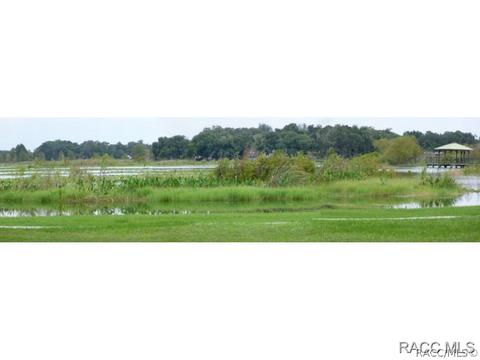 3779 E Kiwi Cove Ct, Hernando, FL 34442 photo 19