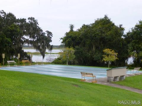 3779 E Kiwi Cove Ct, Hernando, FL 34442 photo 20