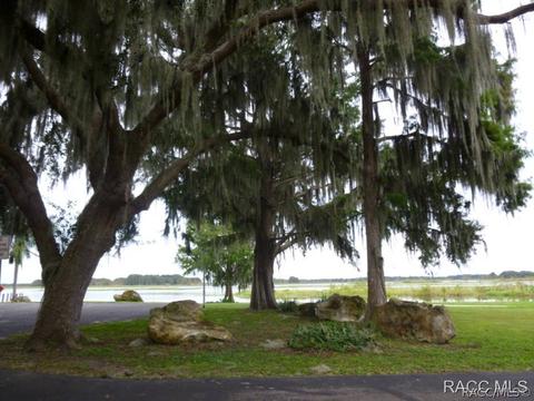 3779 E Kiwi Cove Ct, Hernando, FL 34442 photo 8