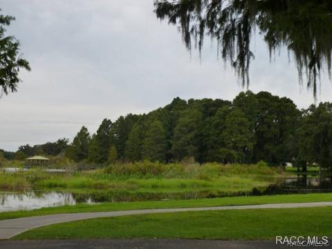 3779 E Kiwi Cove Ct, Hernando, FL 34442 photo 23