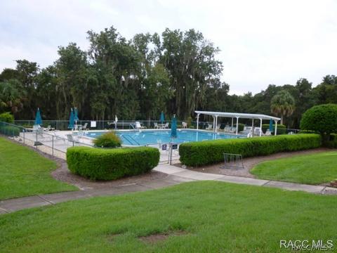 3779 E Kiwi Cove Ct, Hernando, FL 34442 photo 21