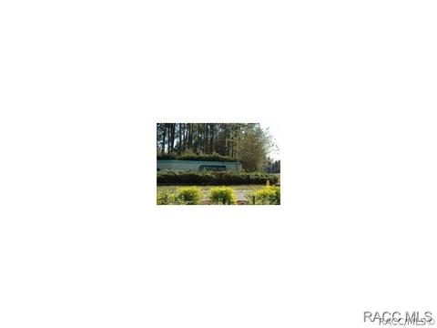 3779 E Kiwi Cove Ct, Hernando, FL 34442 photo 7